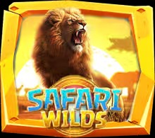 Safari Wilds